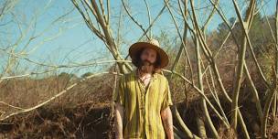 Featured image for Honey Revenge